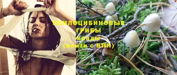ALPHA PVP Волоколамск